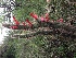  ( - CM-731F)  @11 [ ] Copyright (2019) Guala FuEDEI