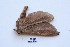  ( - BC-CGCM-22.428)  @12 [ ] Copyright (2010) Unspecified Research Collection of Carlos Mielke