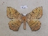  ( - BC-CGCM 28213)  @14 [ ] Unspecified (default): All Rights Reserved  Unspecified Unspecified