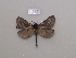  ( - BC-CGCM 29428)  @14 [ ] Unspecified (default): All Rights Reserved  Unspecified Unspecified
