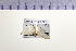  ( - HNU 488)  @11 [ ] CreativeCommons - Attribution Share-Alike (2015) Unspecified Seoul National Uiversity