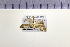  ( - HNU 491)  @11 [ ] CreativeCommons - Attribution Share-Alike (2015) Unspecified Seoul National Uiversity