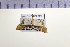  ( - HNU 493)  @11 [ ] CreativeCommons - Attribution Share-Alike (2015) Unspecified Seoul National Uiversity