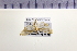  ( - HNU 494)  @11 [ ] CreativeCommons - Attribution Share-Alike (2015) Unspecified Seoul National Uiversity