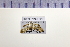  ( - HNU 496)  @11 [ ] CreativeCommons - Attribution Share-Alike (2015) Unspecified Seoul National Uiversity
