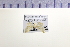  ( - HNU 532)  @11 [ ] CreativeCommons - Attribution Share-Alike (2015) Unspecified Seoul National Uiversity