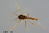  ( - CMM-CH109)  @11 [ ] Creative Commons  Attribution Non-Commercial Share-Alike (2023) NTNU University Museum, Department of Natural History NTNU University Museum, Department of Natural History
