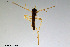  ( - CMM-CH120)  @11 [ ] Creative Commons  Attribution Non-Commercial Share-Alike (2023) NTNU University Museum, Department of Natural History NTNU University Museum, Department of Natural History