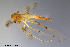  ( - CMM-CH131)  @11 [ ] Creative Commons  Attribution Non-Commercial Share-Alike (2023) NTNU University Museum, Department of Natural History NTNU University Museum, Department of Natural History
