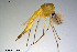  ( - CMM-CH133)  @11 [ ] Creative Commons  Attribution Non-Commercial Share-Alike (2023) NTNU University Museum, Department of Natural History NTNU University Museum, Department of Natural History