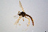  ( - CMM-CH164)  @11 [ ] Creative Commons  Attribution Non-Commercial Share-Alike (2023) NTNU University Museum, Department of Natural History NTNU University Museum, Department of Natural History
