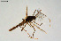  ( - CMM-CH178)  @11 [ ] Creative Commons  Attribution Non-Commercial Share-Alike (2023) NTNU University Museum, Department of Natural History NTNU University Museum, Department of Natural History