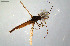  ( - CMM-CH206)  @11 [ ] Creative Commons  Attribution Non-Commercial Share-Alike (2023) NTNU University Museum, Department of Natural History NTNU University Museum, Department of Natural History