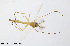  ( - CMM-CH265)  @11 [ ] Creative Commons  Attribution Non-Commercial Share-Alike (2024) NTNU University Museum, Department of Natural History NTNU University Museum, Department of Natural History