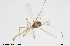  ( - CMM-CH267)  @11 [ ] Creative Commons  Attribution Non-Commercial Share-Alike (2024) NTNU University Museum, Department of Natural History NTNU University Museum, Department of Natural History
