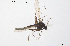  ( - CMM-CH279)  @11 [ ] Creative Commons  Attribution Non-Commercial Share-Alike (2024) NTNU University Museum, Department of Natural History NTNU University Museum, Department of Natural History