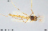  ( - CMM-CH284)  @11 [ ] Creative Commons  Attribution Non-Commercial Share-Alike (2024) NTNU University Museum, Department of Natural History NTNU University Museum, Department of Natural History