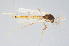  ( - CMM-CH284)  @11 [ ] Creative Commons  Attribution Non-Commercial Share-Alike (2024) NTNU University Museum, Department of Natural History NTNU University Museum, Department of Natural History