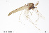  ( - CMM-CH289)  @11 [ ] Creative Commons  Attribution Non-Commercial Share-Alike (2024) NTNU University Museum, Department of Natural History NTNU University Museum, Department of Natural History