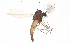  ( - CMM-CH293)  @11 [ ] Creative Commons  Attribution Non-Commercial Share-Alike (2024) NTNU University Museum, Department of Natural History NTNU University Museum, Department of Natural History