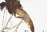  ( - CMM-CH293)  @11 [ ] Creative Commons  Attribution Non-Commercial Share-Alike (2024) NTNU University Museum, Department of Natural History NTNU University Museum, Department of Natural History