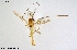  ( - CMM-CH297)  @11 [ ] Creative Commons  Attribution Non-Commercial Share-Alike (2024) NTNU University Museum, Department of Natural History NTNU University Museum, Department of Natural History