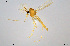  ( - CMM-CH312)  @11 [ ] Creative Commons  Attribution Non-Commercial Share-Alike (2024) NTNU University Museum, Department of Natural History NTNU University Museum, Department of Natural History