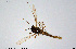  ( - CMM-CH313)  @11 [ ] Creative Commons  Attribution Non-Commercial Share-Alike (2024) NTNU University Museum, Department of Natural History NTNU University Museum, Department of Natural History