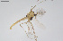  ( - CMM-CH327)  @11 [ ] Creative Commons  Attribution Non-Commercial Share-Alike (2024) NTNU University Museum, Department of Natural History NTNU University Museum, Department of Natural History