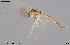  ( - CMM-CH357)  @11 [ ] Creative Commons  Attribution Non-Commercial Share-Alike (2024) NTNU University Museum, Department of Natural History NTNU University Museum, Department of Natural History