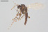  ( - CMM-CH360)  @11 [ ] Creative Commons  Attribution Non-Commercial Share-Alike (2024) NTNU University Museum, Department of Natural History NTNU University Museum, Department of Natural History