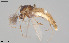  ( - CMM-CH363)  @11 [ ] Creative Commons  Attribution Non-Commercial Share-Alike (2024) NTNU University Museum, Department of Natural History NTNU University Museum, Department of Natural History