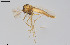  ( - CMM-CH378)  @11 [ ] Creative Commons  Attribution Non-Commercial Share-Alike (2024) NTNU University Museum, Department of Natural History NTNU University Museum, Department of Natural History