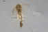  ( - CMM-CH387)  @11 [ ] Creative Commons  Attribution Non-Commercial Share-Alike (2024) NTNU University Museum, Department of Natural History NTNU University Museum, Department of Natural History
