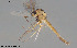  ( - CMM-CH390)  @11 [ ] Creative Commons  Attribution Non-Commercial Share-Alike (2024) NTNU University Museum, Department of Natural History NTNU University Museum, Department of Natural History