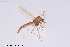  ( - CMM-CH400)  @11 [ ] Creative Commons  Attribution Non-Commercial Share-Alike (2024) NTNU University Museum, Department of Natural History NTNU University Museum, Department of Natural History