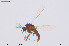 ( - CMM-CH406)  @11 [ ] Creative Commons  Attribution Non-Commercial Share-Alike (2024) NTNU University Museum, Department of Natural History NTNU University Museum, Department of Natural History