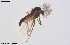  ( - CMM-CH410)  @11 [ ] Creative Commons  Attribution Non-Commercial Share-Alike (2024) NTNU University Museum, Department of Natural History NTNU University Museum, Department of Natural History