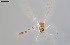  ( - CMM-CH412)  @11 [ ] Creative Commons  Attribution Non-Commercial Share-Alike (2024) NTNU University Museum, Department of Natural History NTNU University Museum, Department of Natural History