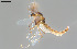  ( - CMM-CH416)  @11 [ ] Creative Commons  Attribution Non-Commercial Share-Alike (2024) NTNU University Museum, Department of Natural History NTNU University Museum, Department of Natural History