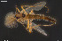  ( - CMM-CH428)  @11 [ ] Creative Commons  Attribution Non-Commercial Share-Alike (2024) NTNU University Museum, Department of Natural History NTNU University Museum, Department of Natural History