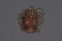  ( - HYDCA643)  @11 [ ] Creative Commons  Attribution Non-Commercial Share-Alike (2022) NTNU University Museum, Department of Natural History NTNU University Museum, Department of Natural History