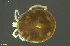  ( - HYDCA893)  @11 [ ] Creative Commons  Attribution Non-Commercial Share-Alike (2024) NTNU University Museum, Department of Natural History NTNU University Museum, Department of Natural History
