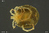  ( - HYDCA893)  @11 [ ] Creative Commons  Attribution Non-Commercial Share-Alike (2024) NTNU University Museum, Department of Natural History NTNU University Museum, Department of Natural History