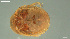  ( - HYDCA931)  @11 [ ] Creative Commons  Attribution Non-Commercial Share-Alike (2024) NTNU University Museum, Department of Natural History NTNU University Museum, Department of Natural History