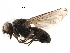  ( - BIOUG16513-E01)  @11 [ ] CreativeCommons - Attribution (2017) CBG Photography Group Centre for Biodiversity Genomics