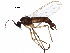  ( - BIOUG16584-B01)  @11 [ ] CreativeCommons - Attribution (2017) CBG Photography Group Centre for Biodiversity Genomics
