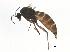  ( - BIOUG16772-B09)  @12 [ ] CreativeCommons - Attribution (2015) CBG Photography Group Centre for Biodiversity Genomics