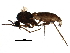  ( - BIOUG16810-B01)  @12 [ ] CreativeCommons - Attribution (2015) CBG Photography Group Centre for Biodiversity Genomics