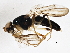  ( - BIOUG03159-E12)  @13 [ ] CreativeCommons - Attribution (2013) CBG Photography Group Centre for Biodiversity Genomics